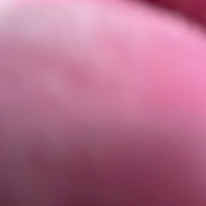 Private listing for @jasandalb pink purse with slight stain flaws